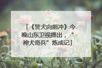 《警犬向前冲》今晚山东卫视播出，“神犬奇兵”炼成记