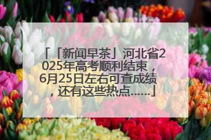 「新闻早茶」河北省2025年高考顺利结束，6月25日左右可查成绩，还有这些热点……