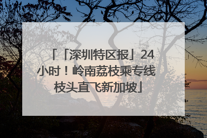 「深圳特区报」24小时！岭南荔枝乘专线 枝头直飞新加坡