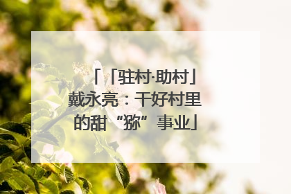 「驻村·助村」戴永亮：干好村里的甜“猕”事业