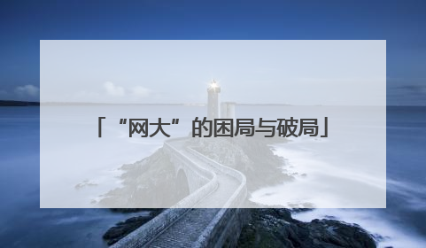 “网大”的困局与破局
