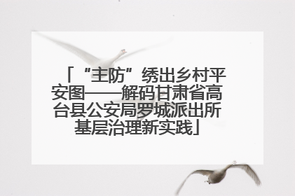 “主防”绣出乡村平安图——解码甘肃省高台县公安局罗城派出所基层治理新实践