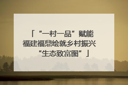 “一村一品”赋能 福建福鼎绘就乡村振兴“生态致富图”