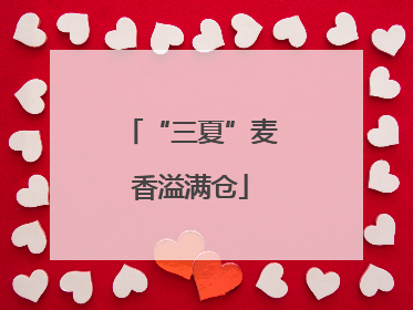 “三夏”麦香溢满仓