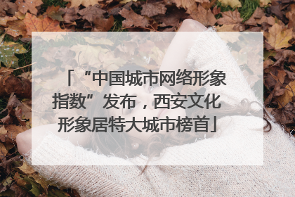 “中国城市网络形象指数”发布，西安文化形象居特大城市榜首