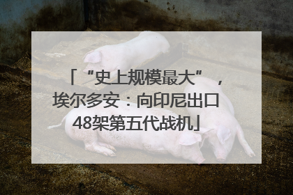 “史上规模最大”，埃尔多安：向印尼出口48架第五代战机