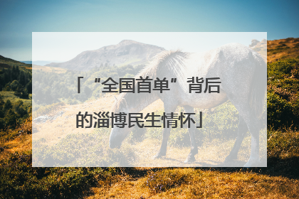 “全国首单”背后的淄博民生情怀