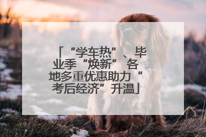 “学车热”、毕业季“焕新” 各地多重优惠助力“考后经济”升温