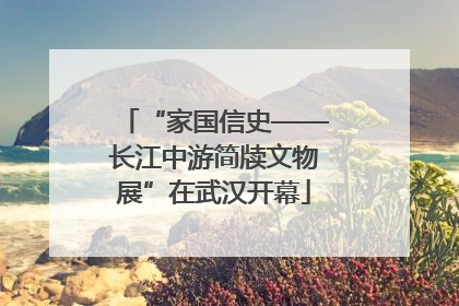 “家国信史——长江中游简牍文物展”在武汉开幕