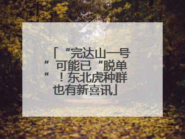 “完达山一号”可能已“脱单”！东北虎种群也有新喜讯