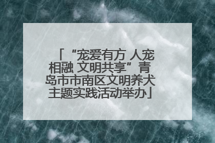 “宠爱有方 人宠相融 文明共享”青岛市市南区文明养犬主题实践活动举办