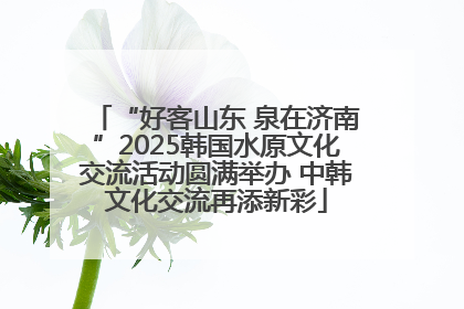 “好客山东 泉在济南”2025韩国水原文化交流活动圆满举办 中韩文化交流再添新彩