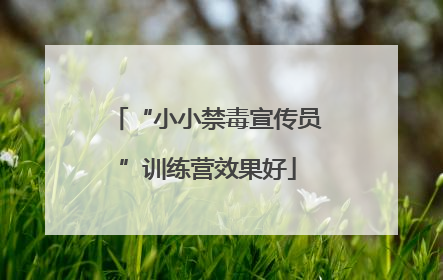 “小小禁毒宣传员”训练营效果好