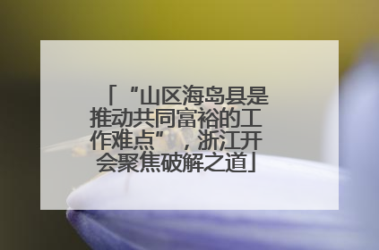 “山区海岛县是推动共同富裕的工作难点”，浙江开会聚焦破解之道