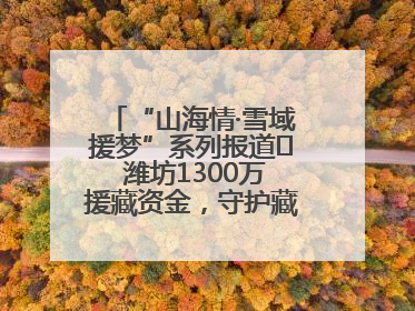 “山海情·雪域援梦”系列报道⑪ 潍坊1300万援藏资金，守护藏区群众健康“最后一公里”
