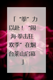 “拳”力以赴！“闹海·拳击狂欢季”在烟台莱山启幕
