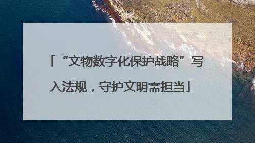 “文物数字化保护战略”写入法规，守护文明需担当