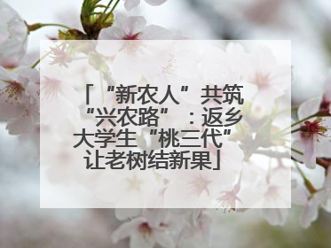 “新农人”共筑“兴农路”：返乡大学生“桃三代”让老树结新果
