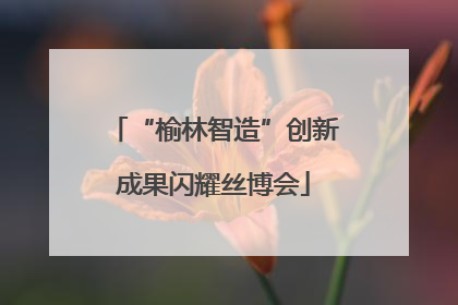 “榆林智造”创新成果闪耀丝博会