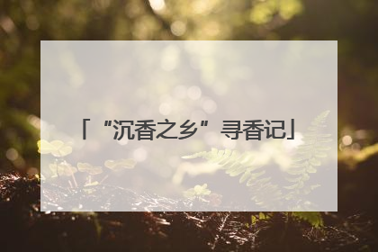 “沉香之乡”寻香记