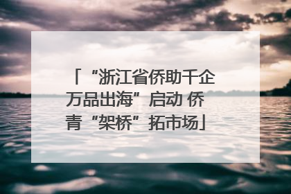 “浙江省侨助千企万品出海”启动 侨青“架桥”拓市场