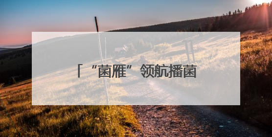 “菌雁”领航播菌种 山西垣曲望仙村椴木成金绘振兴