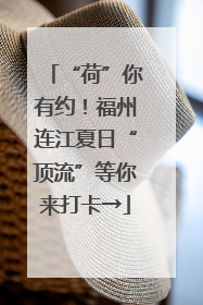 “荷”你有约！福州连江夏日“顶流”等你来打卡→
