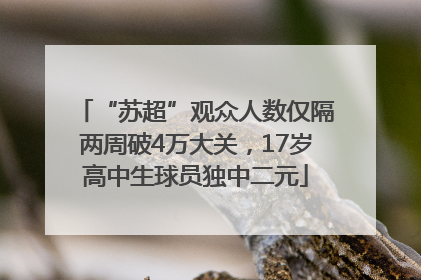 “苏超”观众人数仅隔两周破4万大关，17岁高中生球员独中二元
