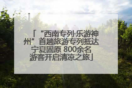“西南专列·乐游神州”首趟旅游专列抵达宁夏固原 800余名游客开启清凉之旅