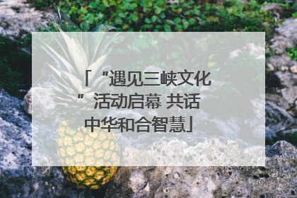“遇见三峡文化”活动启幕 共话中华和合智慧