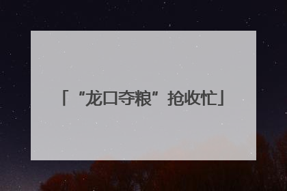 “龙口夺粮”抢收忙