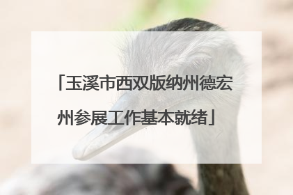 玉溪市西双版纳州德宏州参展工作基本就绪