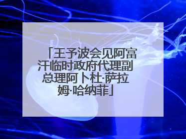 王予波会见阿富汗临时政府代理副总理阿卜杜·萨拉姆·哈纳菲
