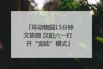环动物园15分钟文旅圈 汉阳六一打开“宠娃”模式