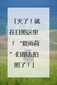 火了！就在日照这里！“夏雨荷”们都去拍照了！