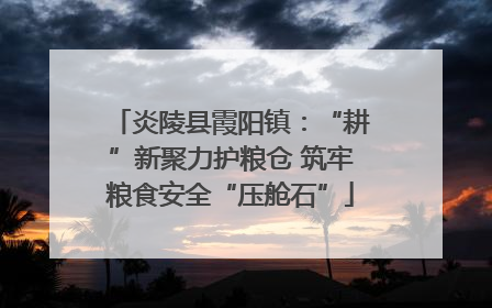 炎陵县霞阳镇：“耕”新聚力护粮仓 筑牢粮食安全“压舱石”