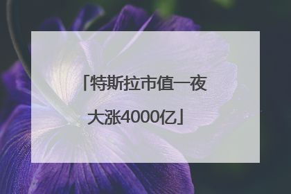 特斯拉市值一夜大涨4000亿