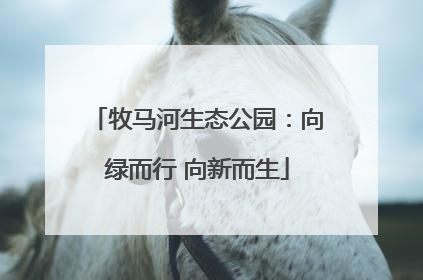 牧马河生态公园：向绿而行 向新而生