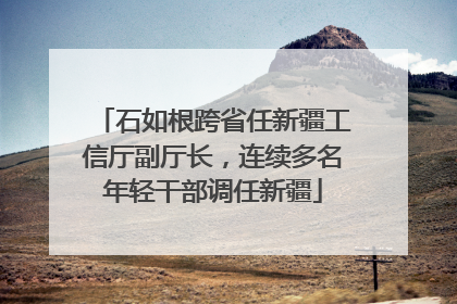 石如根跨省任新疆工信厅副厅长，连续多名年轻干部调任新疆