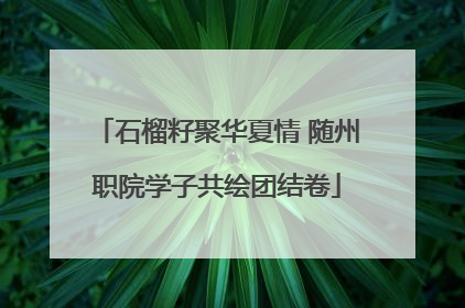 石榴籽聚华夏情 随州职院学子共绘团结卷