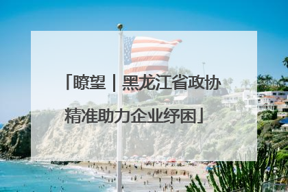 瞭望｜黑龙江省政协精准助力企业纾困