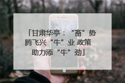 甘肃华亭：“畜”势腾飞兴“牛”业 政策助力添“牛”劲