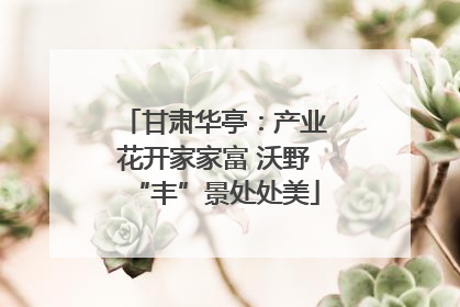 甘肃华亭：产业花开家家富 沃野“丰”景处处美