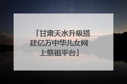 甘肃天水升级搭建亿万中华儿女网上祭祖平台