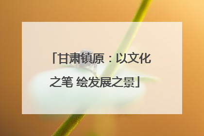 甘肃镇原：以文化之笔 绘发展之景