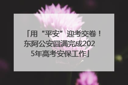 用“平安”迎考交卷！东阿公安圆满完成2025年高考安保工作