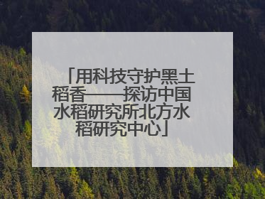 用科技守护黑土稻香——探访中国水稻研究所北方水稻研究中心