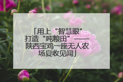 用上“智慧眼” 打造“吨粮田”——陕西宝鸡一座无人农场夏收见闻