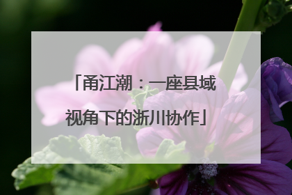 甬江潮：一座县域视角下的浙川协作