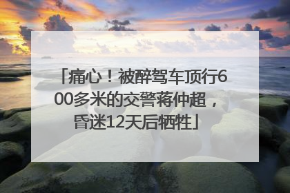 痛心！被醉驾车顶行600多米的交警蒋仲超，昏迷12天后牺牲